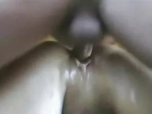 მშობელი Reeves პოლიტ ...