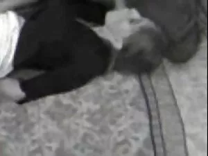 წრე ინდოელი წყვილი პ ...