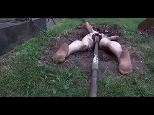 HD sex ვიდეო bloodan ...