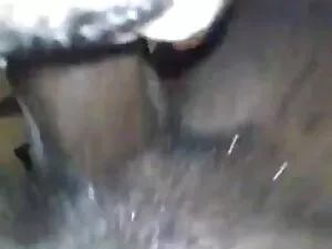 ყველაზე პოპულარული კ ...